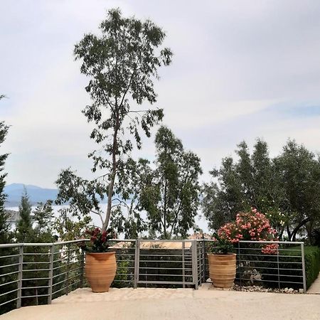 Stone House In Olive Grove Villa Tolo Exterior photo