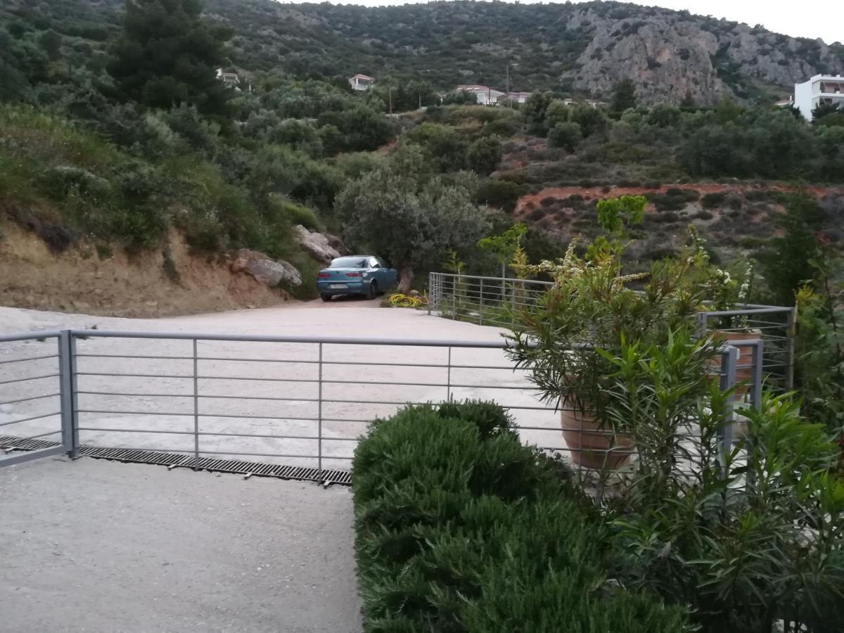 Stone House In Olive Grove Villa Tolo Exterior photo