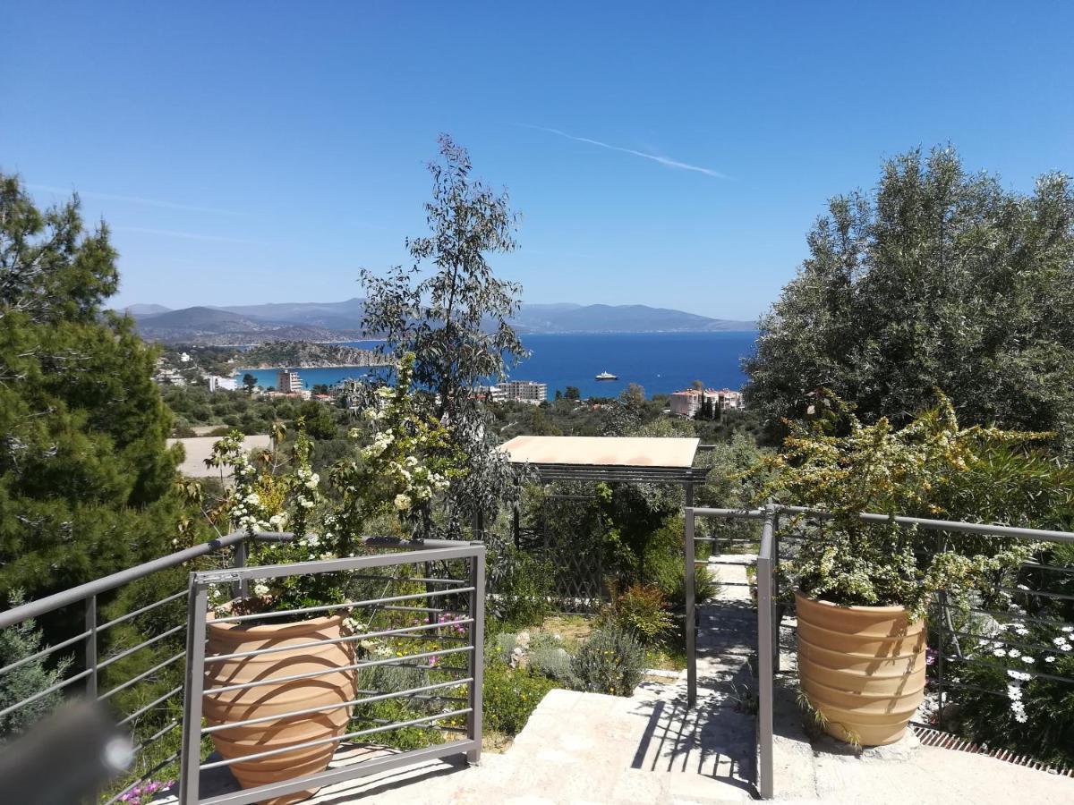 Stone House In Olive Grove Villa Tolo Exterior photo
