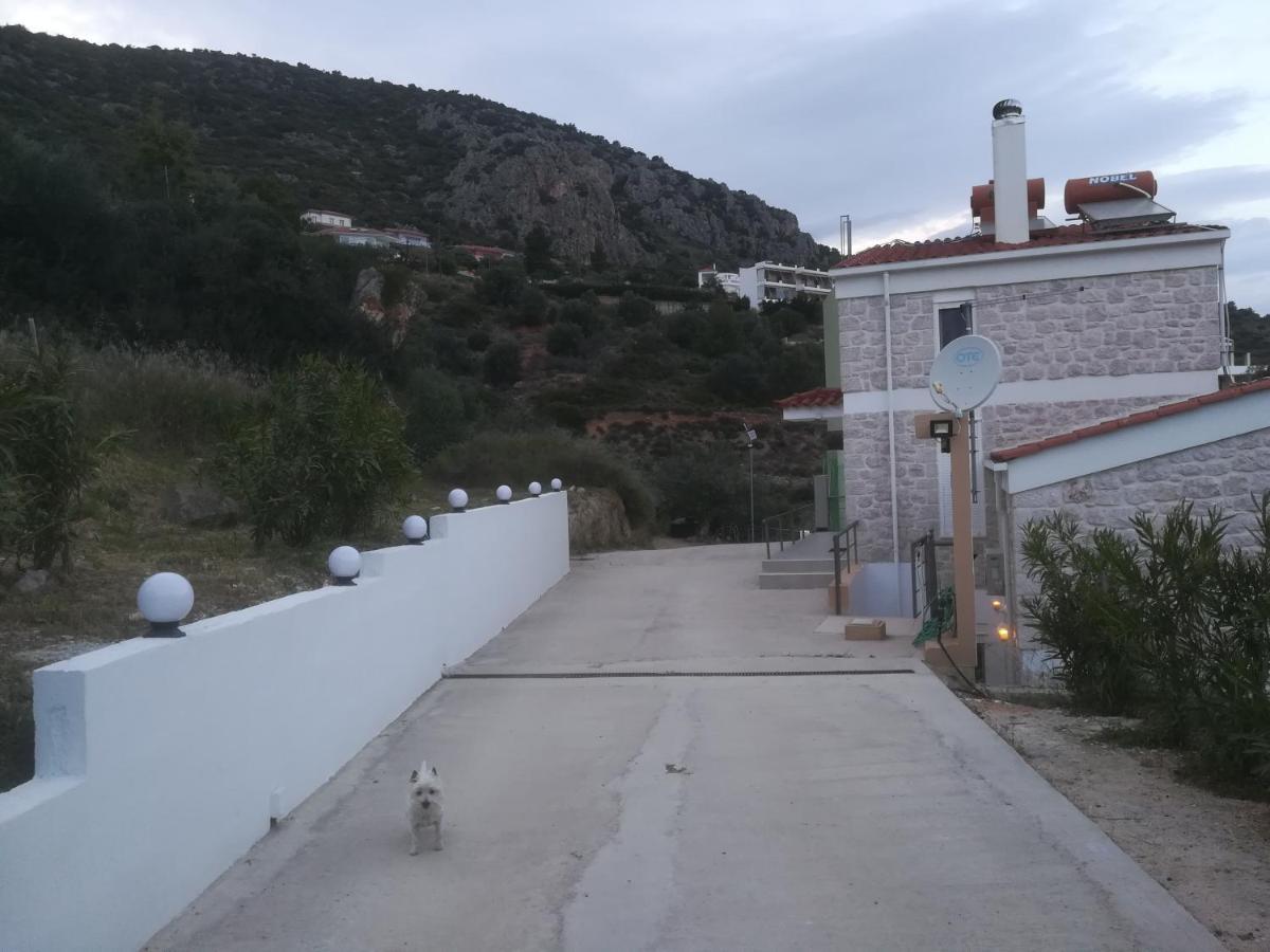 Stone House In Olive Grove Villa Tolo Exterior photo