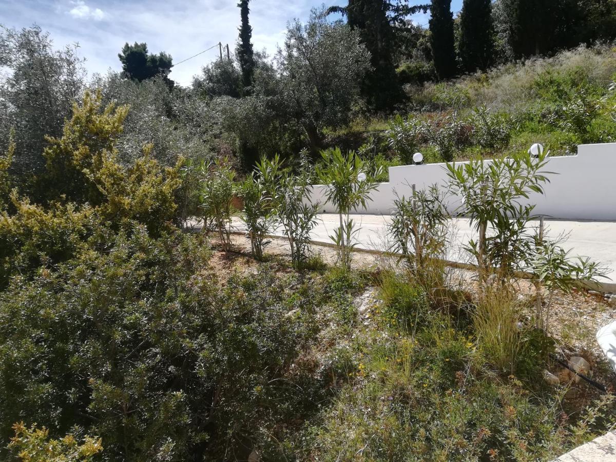 Stone House In Olive Grove Villa Tolo Exterior photo