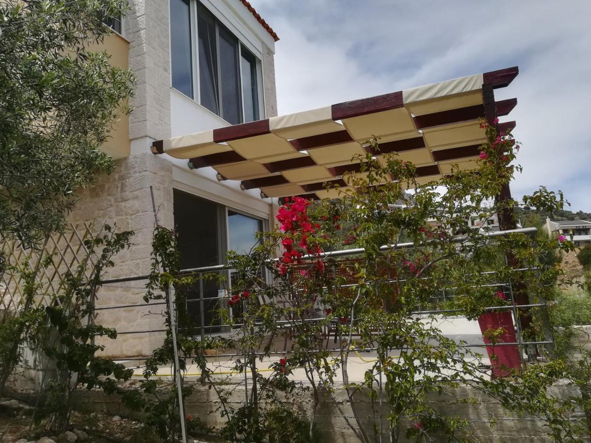 Stone House In Olive Grove Villa Tolo Exterior photo