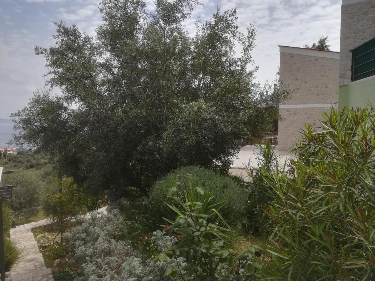 Stone House In Olive Grove Villa Tolo Exterior photo