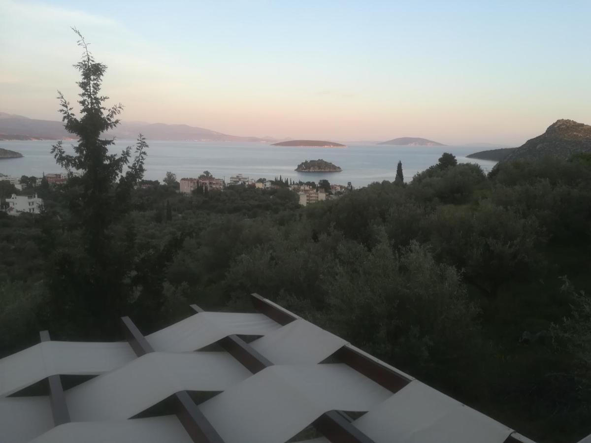 Stone House In Olive Grove Villa Tolo Exterior photo