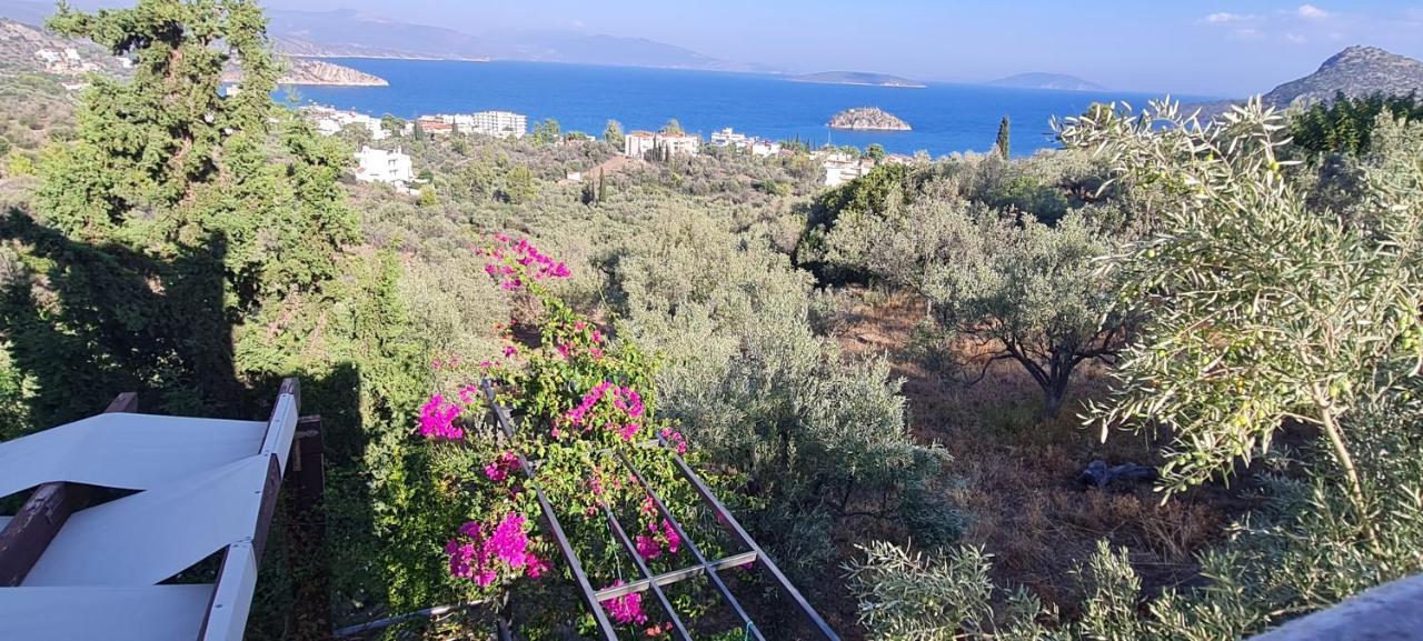 Stone House In Olive Grove Villa Tolo Exterior photo