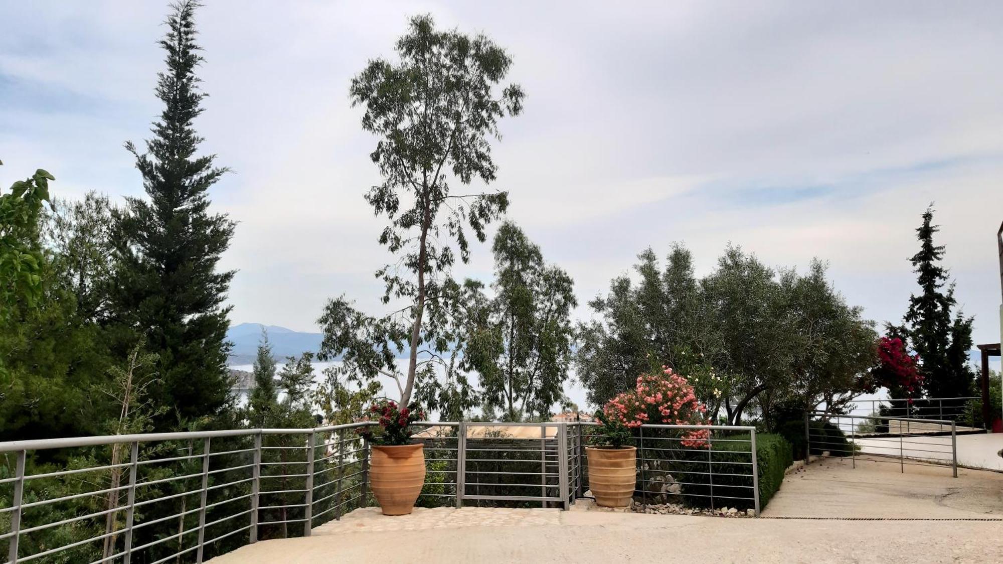 Stone House In Olive Grove Villa Tolo Exterior photo