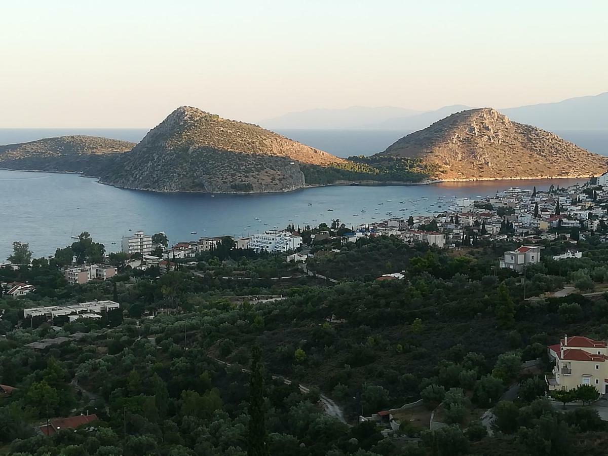 Stone House In Olive Grove Villa Tolo Exterior photo