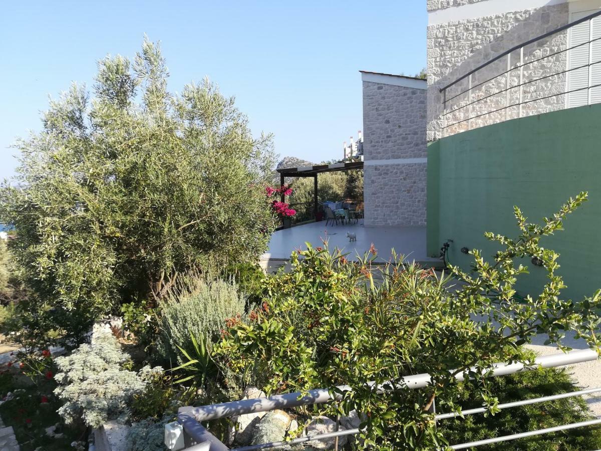 Stone House In Olive Grove Villa Tolo Exterior photo