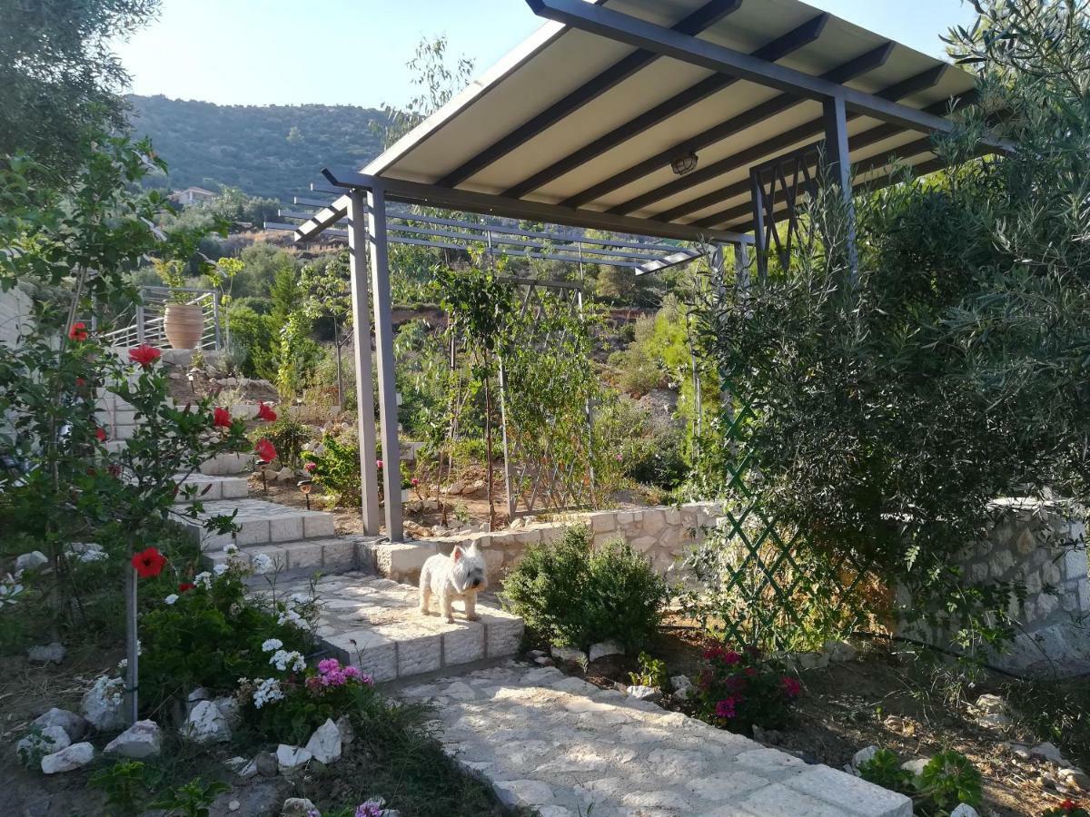 Stone House In Olive Grove Villa Tolo Exterior photo