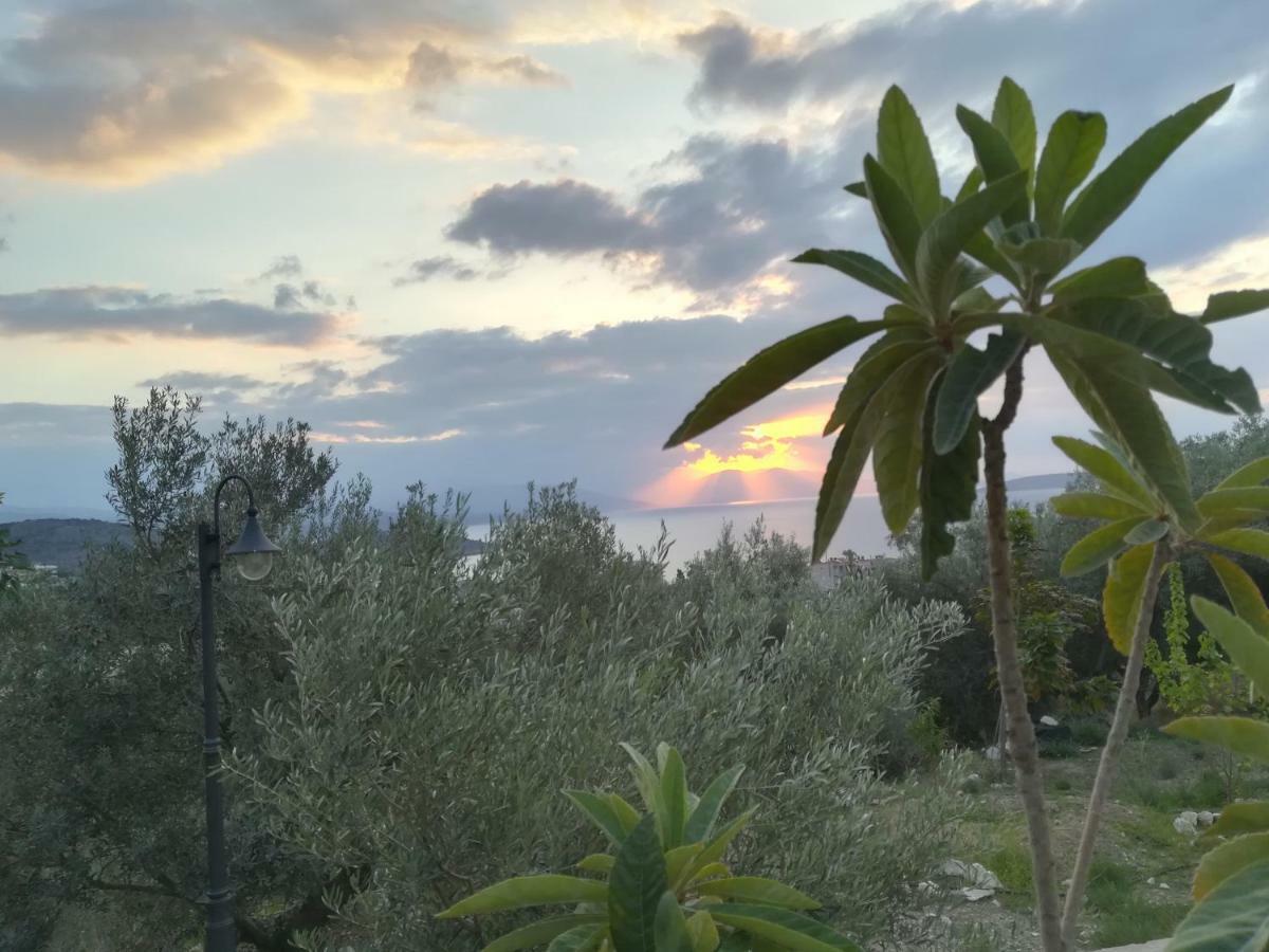 Stone House In Olive Grove Villa Tolo Exterior photo