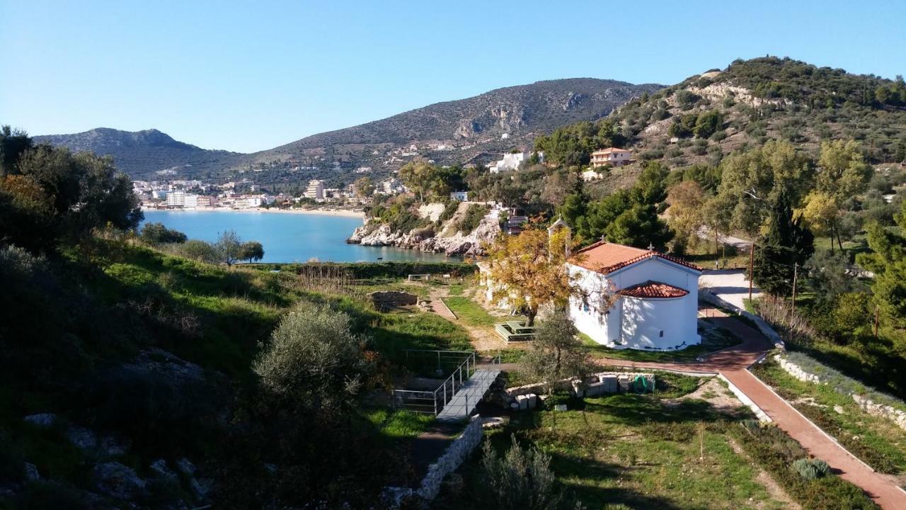 Stone House In Olive Grove Villa Tolo Exterior photo