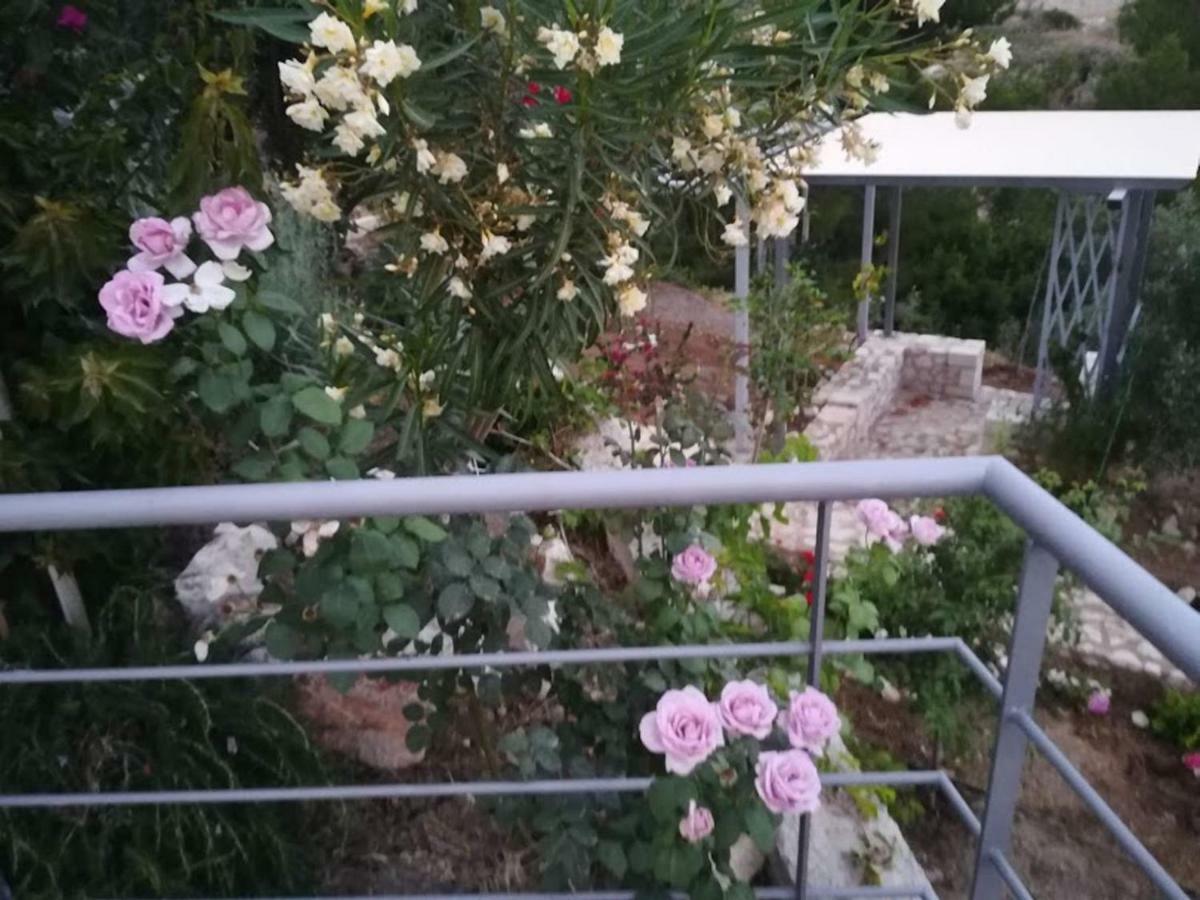 Stone House In Olive Grove Villa Tolo Exterior photo